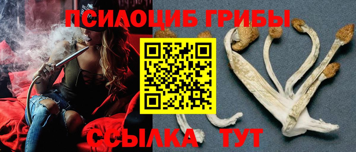 Галлюциногенные грибы Magic Shrooms  Галлюциногенные грибы Psilocybine cubensis  Екатеринбург  Вход с VPN 